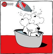 Data cleansing tidies the data and makes it easier to understand.