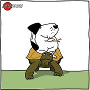 Does your data take a long time to return information ?.